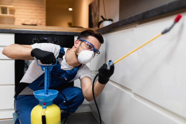 Best Termite Control Services  in West Jefferson, NC
