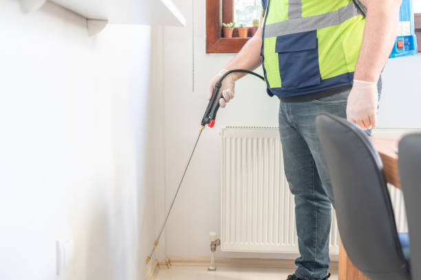 Best Wasp Removal Services  in West Jefferson, NC