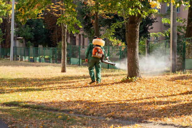 Best Wildlife Control Services  in West Jefferson, NC