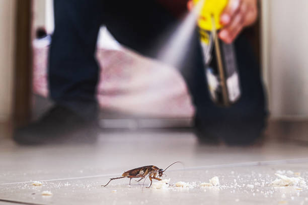 Best Best Pest Control Companies  in West Jefferson, NC
