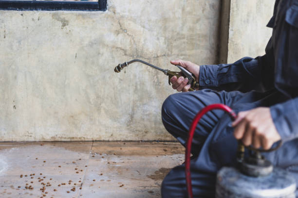 Best Pest Control Treatment  in West Jefferson, NC